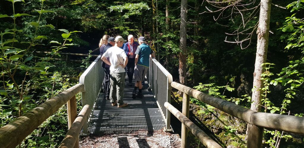 20240622_094825 kl - Walchenklamm - Exkursion (Foto von Catherine Grist am 22.06.2024)