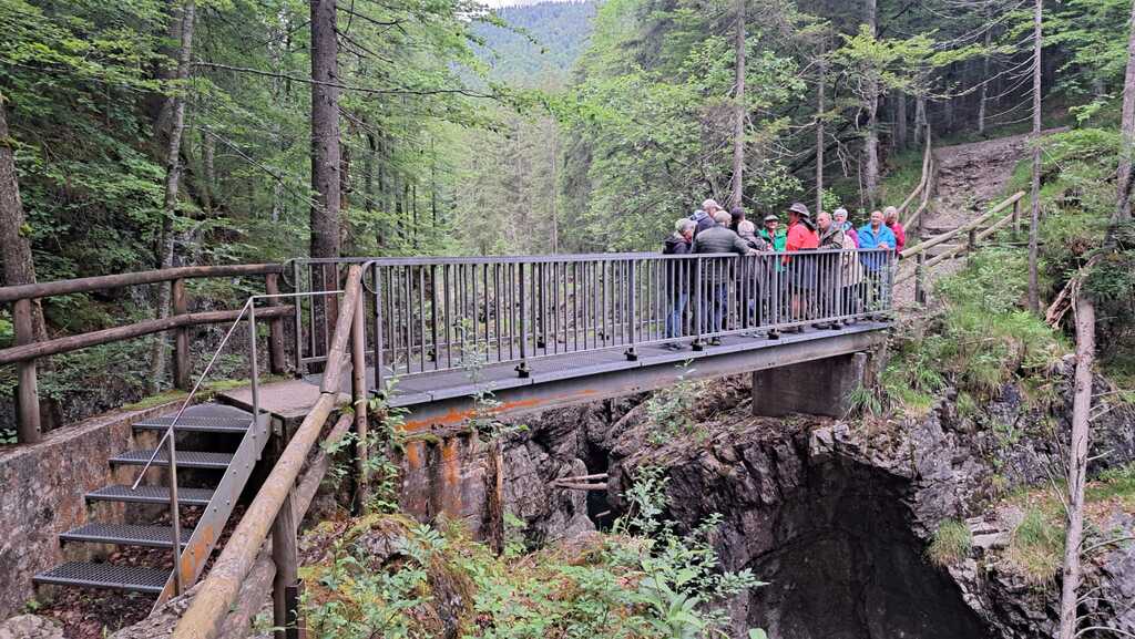 IMG-20240616-WA0013 - Walchenklamm - Exkursion (Foto von Sabine Gerg am 15.06.2024)