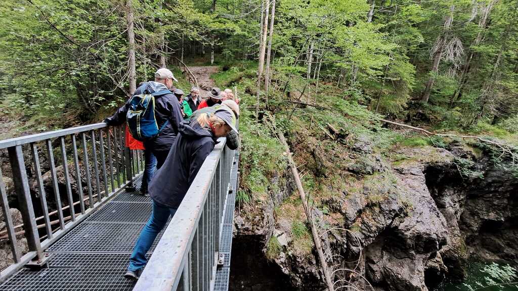 IMG-20240616-WA0014 - Walchenklamm - Exkursion (Foto von Sabine Gerg am 15.06.2024)