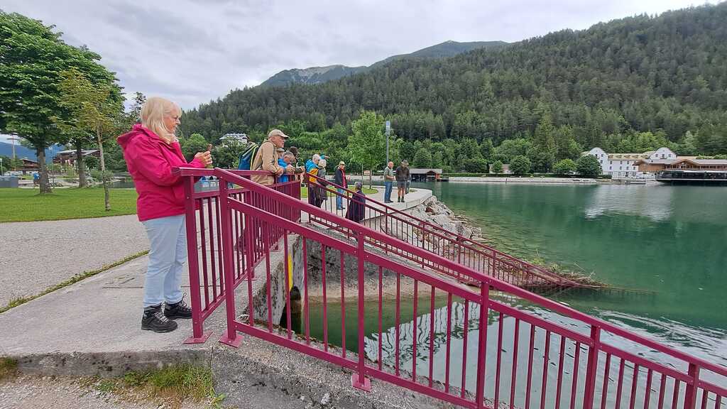 IMG-20240616-WA0023 - Dürracheinleitung in den Achensee - Exkursion (Foto von Sabine Gerg am 15.06.2024)